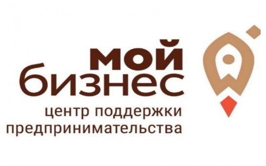 Господдержка 2025 для бизнеса Искитимского района: открыт прием заявок